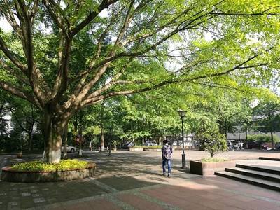 2019年成都農(nóng)業(yè)科技職業(yè)學(xué)院校園地址位于哪里呢,有幾個校區(qū)?