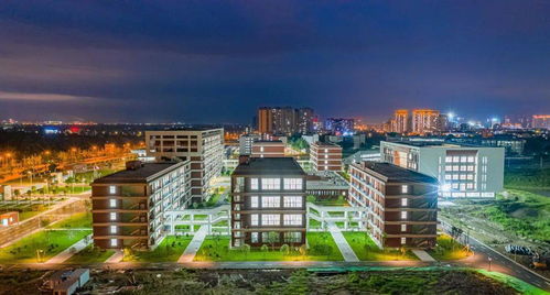 電子科技大學(xué)成都學(xué)院什邡校區(qū)驚艷亮相，金秋九月將迎來首批師生